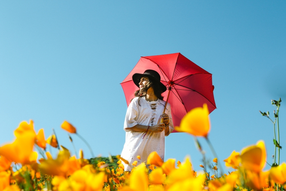 便利な晴雨兼用の傘とは？日傘と雨傘の違いを知って賢く使おう